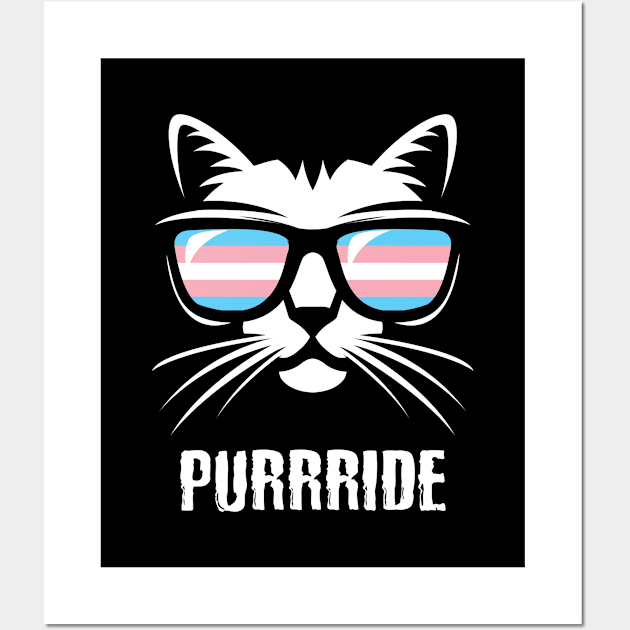 Transgender Pride Flag Cat Purrride Wall Art by BrightGift